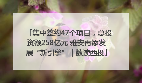 集中签约47个项目，总投资额258亿元 雅安再添发展“新引擎”｜数读西投